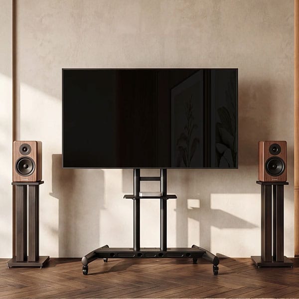 Rent TV floor stand
